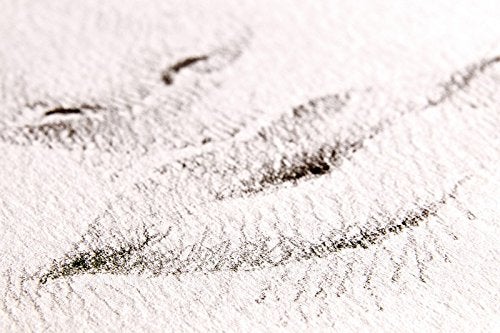 Fabriano Mixed Media Papers, 250 GSM -40 White Sheets (21 X 29.7 cm)| Ideal for Drawing, Sketching with Pencil, Pastels, Charcoal, Ink, and Calligraphy - Image 4