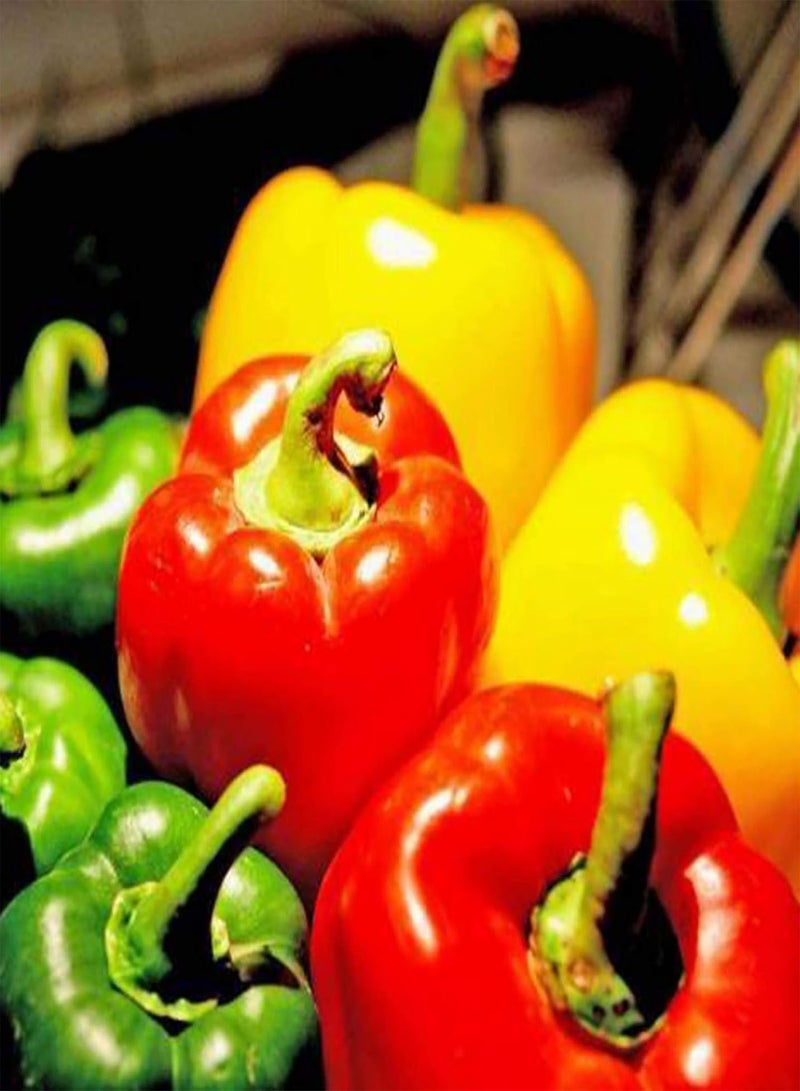 Green Garden Flower Plants-40Pcs/Bag Seeds Fresh Edible Living Household Rainbow Pepper Seeds for Greenhouse - Sweet Pepper Seeds