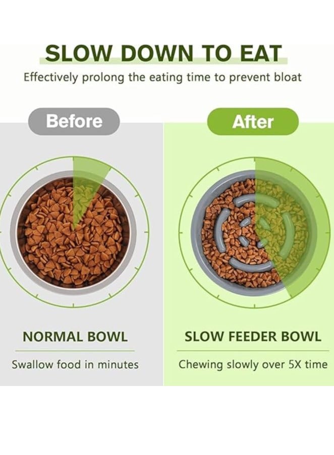وحدة تغذية بطيئة مزدوجة شديدة التحمل - أوعية طعام ومياه للحيوانات الأليفة - الجراء، مقاس كبير للكلاب والقطط - غير قابلة للانزلاق  مضادة للاختناق - سهلة الاستخدام غير سامة (اورانج - Image 5