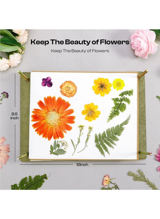 Caydo Caydo Flower Press Kit, 12 x 8.5 inches Flowers Pressing Kit, 8 Layers Pressed Flowers with Blotting Papers and Tools, Bouquet Preservation for Flower Drying, DIY Art, Bookmark, Gift, Craft - Image 3
