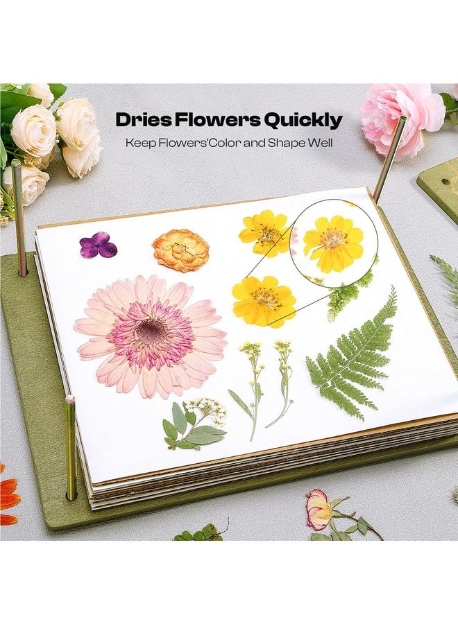 Caydo Caydo Flower Press Kit, 12 x 8.5 inches Flowers Pressing Kit, 8 Layers Pressed Flowers with Blotting Papers and Tools, Bouquet Preservation for Flower Drying, DIY Art, Bookmark, Gift, Craft - Image 5