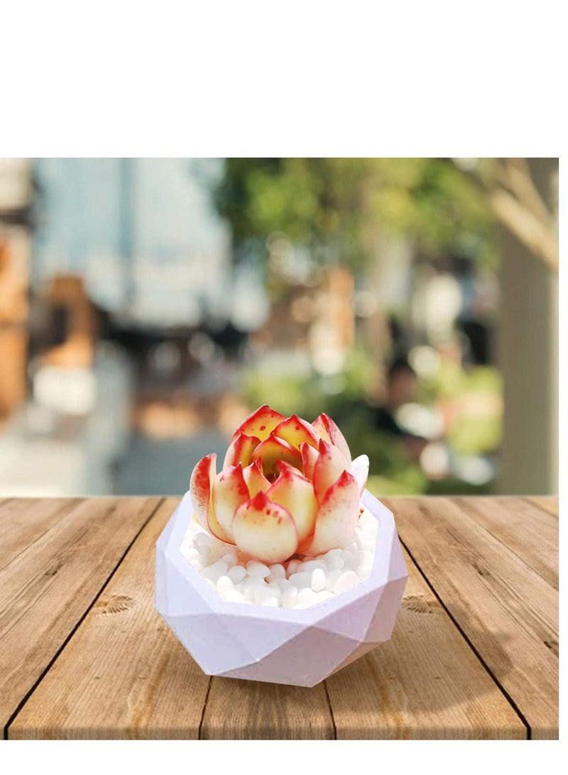 SOLARAE Flower Pot Silicone Resin Molds, DIY Flowerpot Mould Heart Hexagonal and Octagonal Flower Pot Silicone Mold Succulent Plant Vase Gypsum Cement Molds for Making Mini Flowerpot(3Pcs) - Image 2