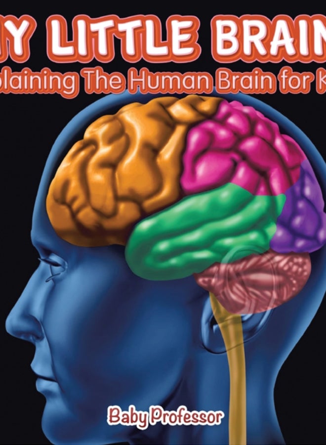 My Little Brain! - Explaining The Human Brain for Kids 