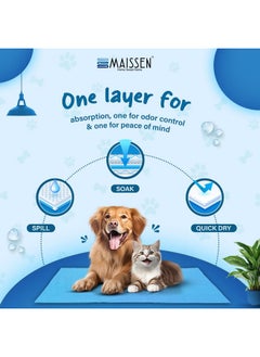 Maissen Pet Dry Sheet Large- Blue | Pack of 2 | Size- 140Cm X 100Cm | for All Pets | Waterproof Reusable Pee Pads for Dogs | Washable Pet Dry Sheet | Training Pads for Dogs | Odor Remover | Dog Mat - pzsku/Z958C1AA648268881FAEBZ/45/_/1738306669/dbf0499b-9957-41a4-a592-0182d9f818da