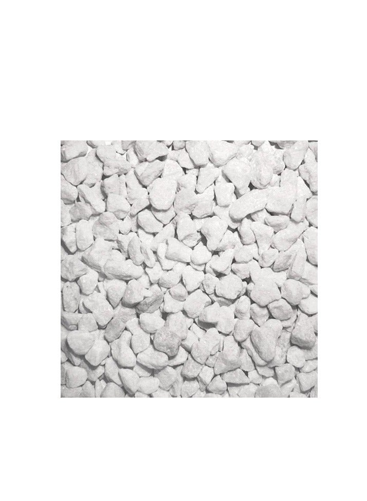 ڤسيل24 رقائق حجرية بيضاء طبيعية مقاس 5-8 مم: مثالية لتجميل أحواض السمك وتزيين الحدائق والمناظر الطبيعية الخارجية - Image 5