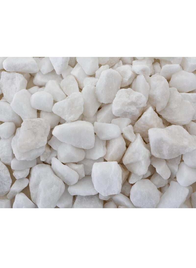 ڤسيل24 رقائق حجرية بيضاء طبيعية مقاس 5-8 مم: مثالية لتجميل أحواض السمك وتزيين الحدائق والمناظر الطبيعية الخارجية - Image 3