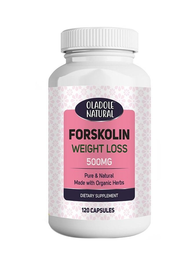 Oladole Natural - Oladole Natural Forskolin Extract for Weight Loss 500mg 120 Capsule Pure & Natural Made with Organic Herbs - Image 1