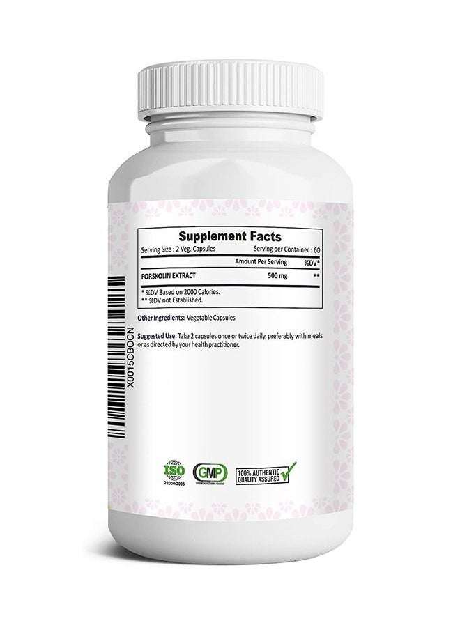 Oladole Natural - Oladole Natural Forskolin Extract for Weight Loss 500mg 120 Capsule Pure & Natural Made with Organic Herbs - Image 1