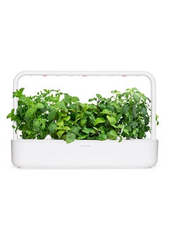 CLICK AND GROW Click & Grow Seeds Calming Tea Mix 9 pack  - Image 1