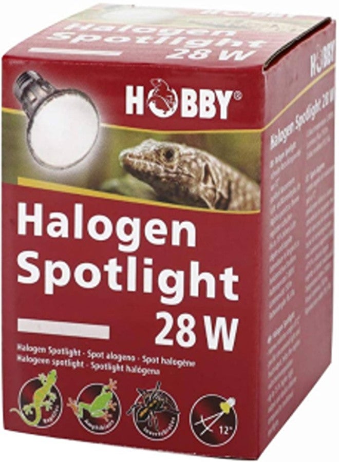 Hobby Diamond Halogen Spot 28 W