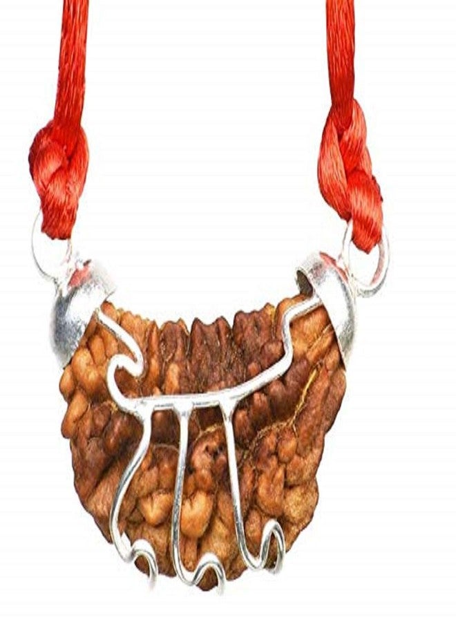 numeroastro 1 Mukhi | Ek Mukhi Rudraksha White Metal Pendant for Men and Women (Lab Certified) (1 Pc) - Image 2