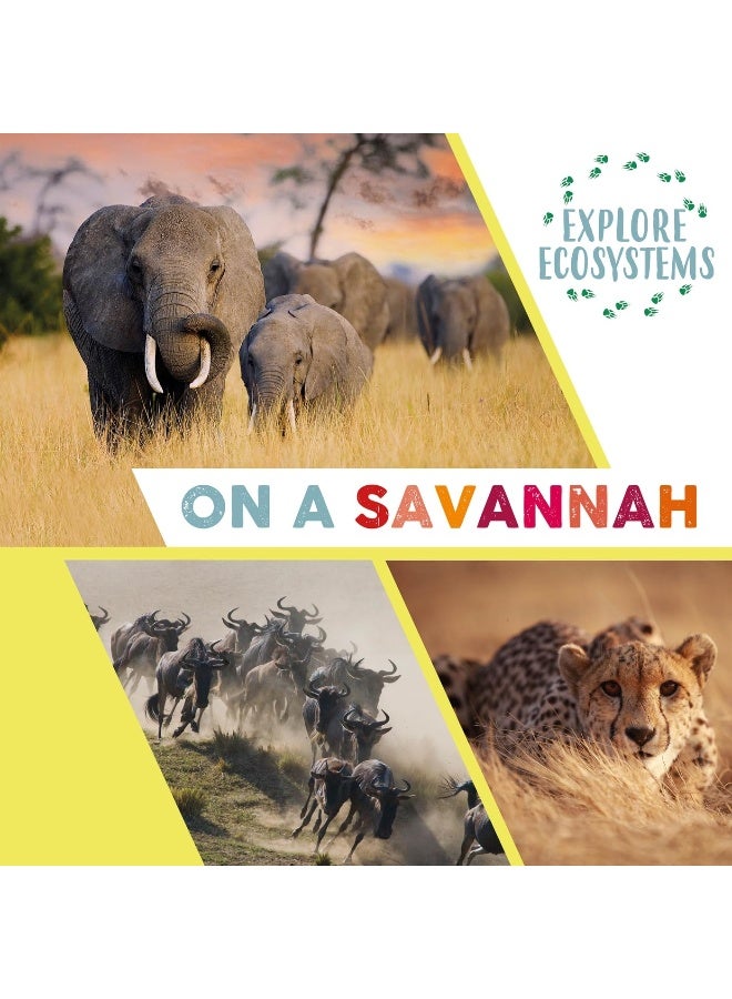 Explore Ecosystems: On a Savannah - Image 1