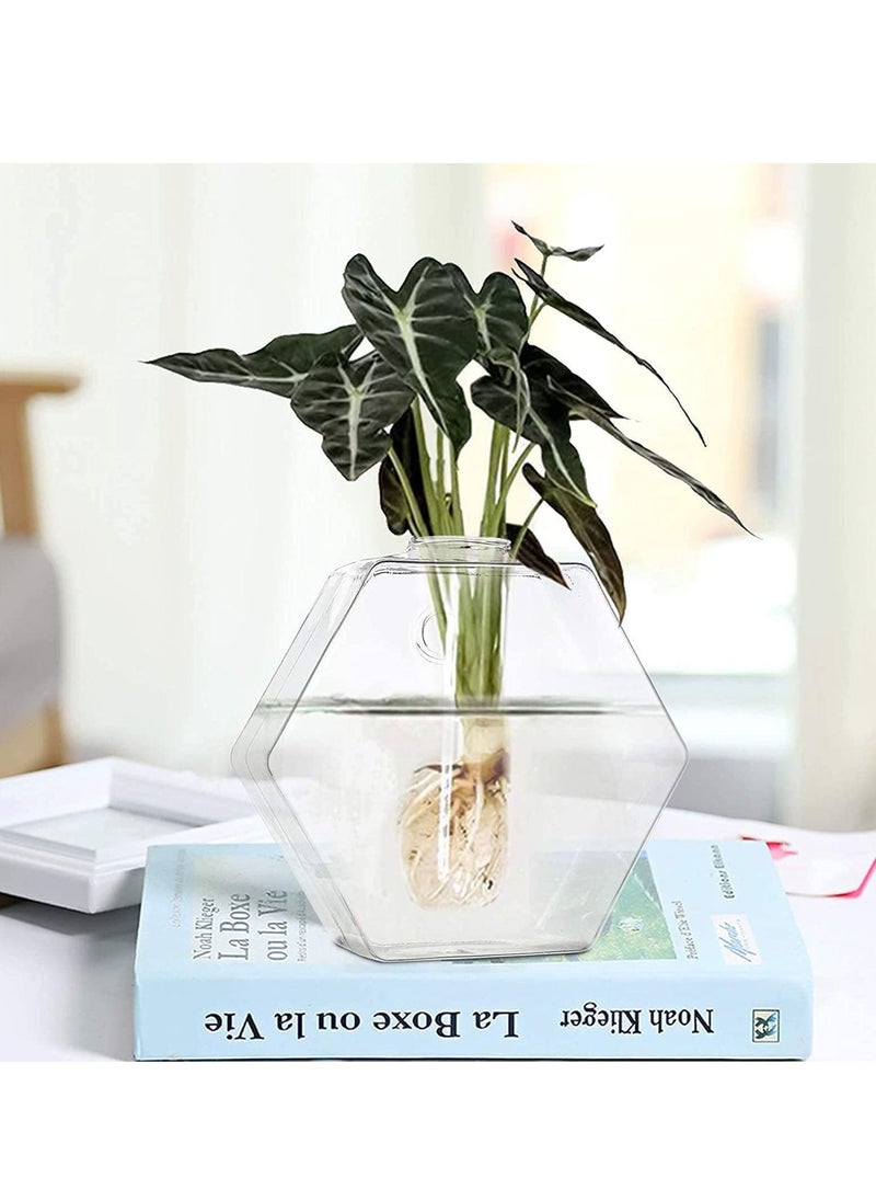 Wall Hanging Glass Planter, 4 Pack Hexagon Container, Air Pots Flower Vase Terrarium for Propagating Hydroponics Plants, Home Garden Office Decor
