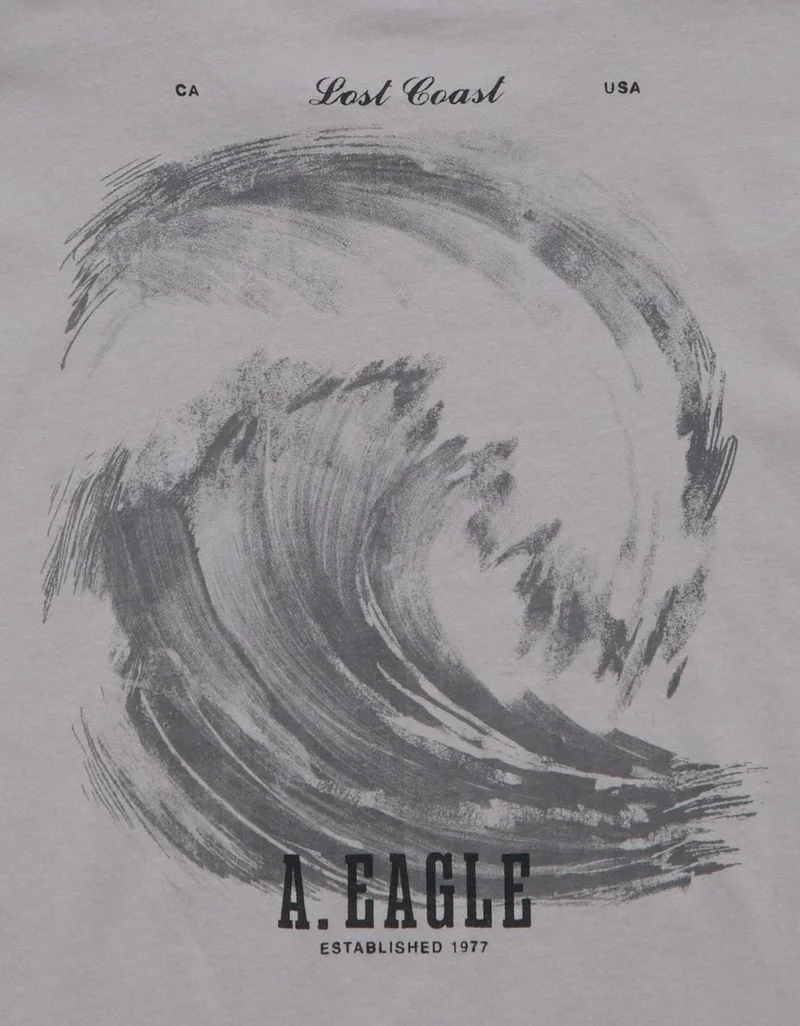 American Eagle  AE Logo Graphic T-Shirt  | Best Price UAE