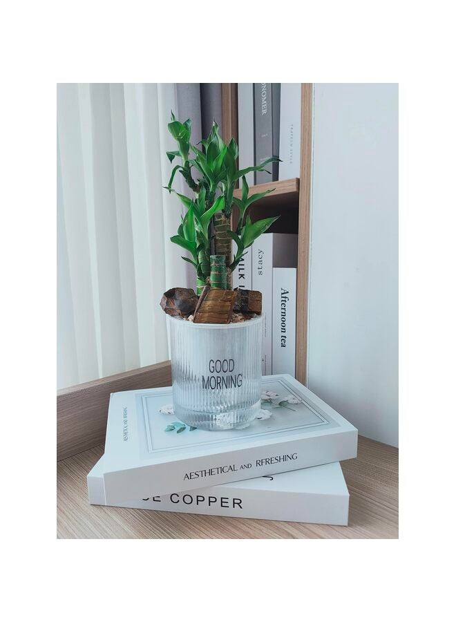 Rough Crystals Bulk Raw Healing Stones for Tumbling Wire Wrapping Meditation - Image 4