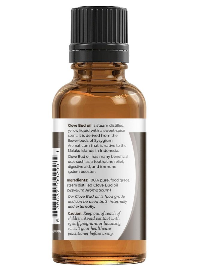 ڤيڤا دوريا - زيت برعم القرنفل العطري النقي 100%، غير مخفف، بدرجة الغذاء، 30 مل (1 أونصة سائلة) - Image 1