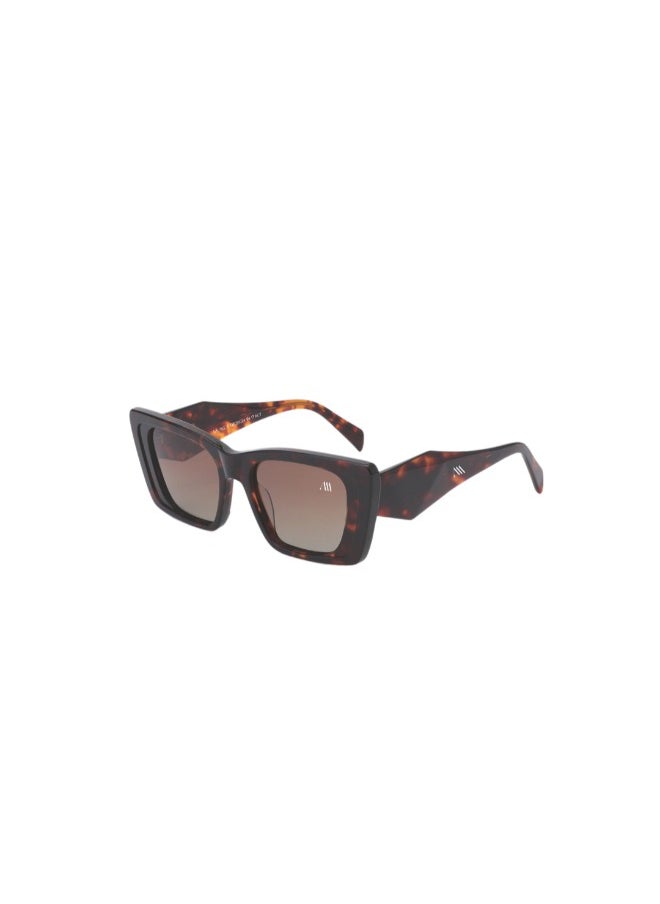 Kemet Eyewear Cat Eye Full Rim Women Verve Brown brown Lens 