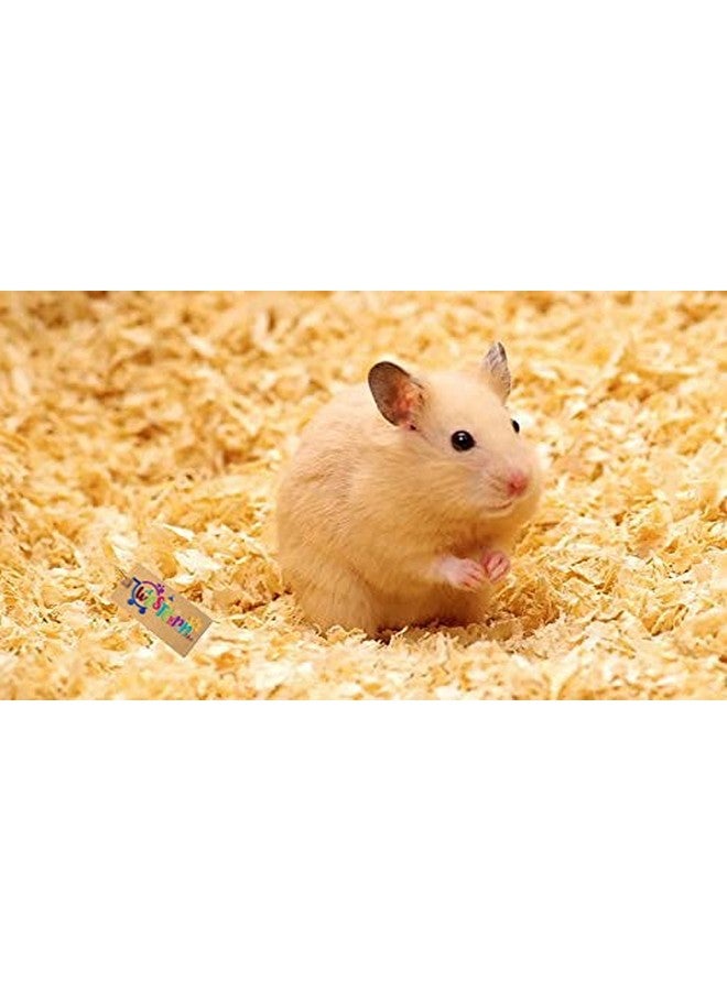 Western Era Natural Wood Shaving Bedding for Hamster, Mice, Gerbil, Rabbit and Guinea Pig (200grm) - Image 4