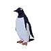 MOJO Gentoo Penguin HandPainted Toy Figure Wildlife Collection True to Life Highly Detailed Designed in UK - Image 4