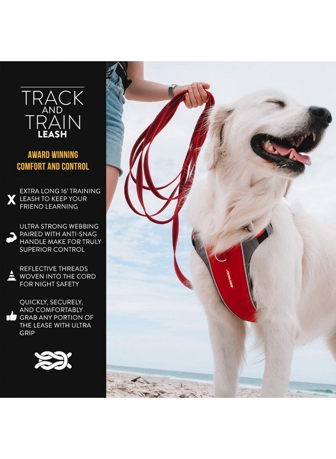 EzyDog Track and Train Premium Dog Leash - 16-Foot Extra Long Dog Lead Perfect for Training Your Pup with Ease - Includes Traffic Control Handle for Safety and Security (16', Red) - Image 2
