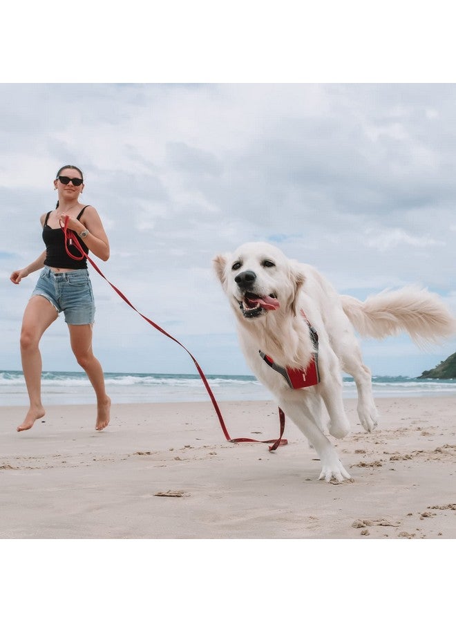 EzyDog Track and Train Premium Dog Leash - 16-Foot Extra Long Dog Lead Perfect for Training Your Pup with Ease - Includes Traffic Control Handle for Safety and Security (16', Red) - Image 5