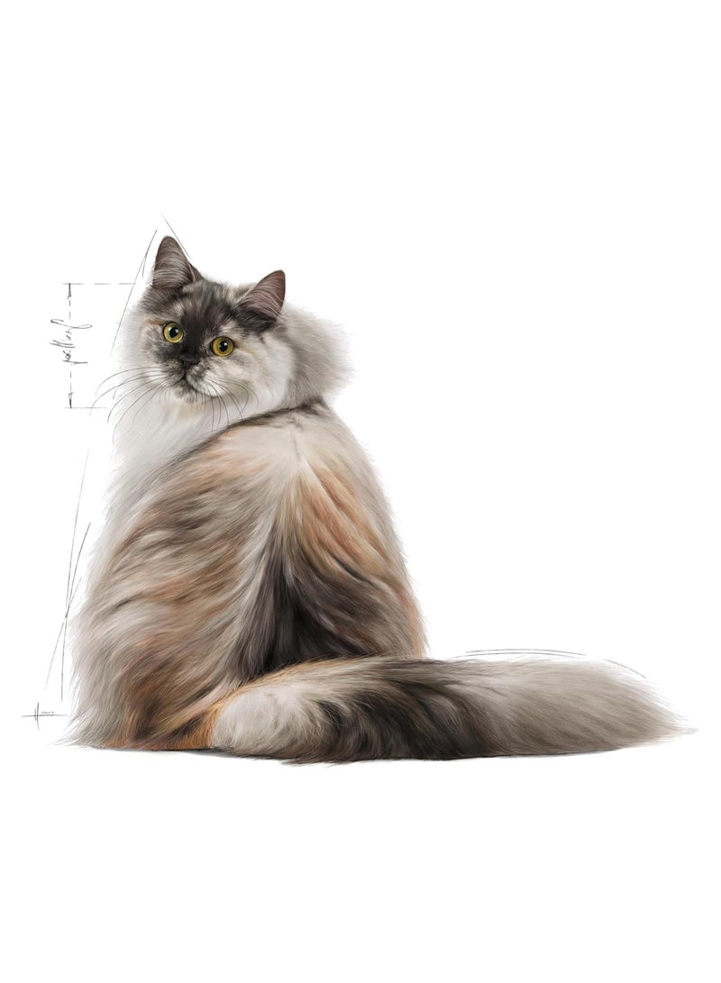 Royal Canin FCN Feline Care Nutrition Hair & Skin 2kg Cat Dry Food - Image 3