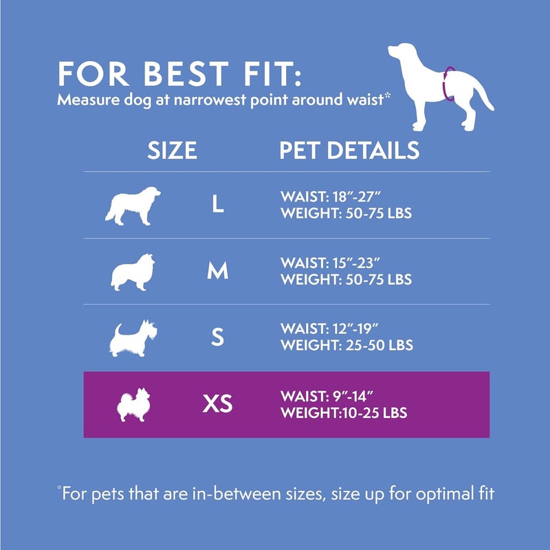 Simple Solution Disposable Dog Diapers for Male Dogs | Male Wraps with Super Absorbent Leak-Proof Fit | Excitable Urination, Incontinence, or Male Marking | Toy | 30 Count - Image 2