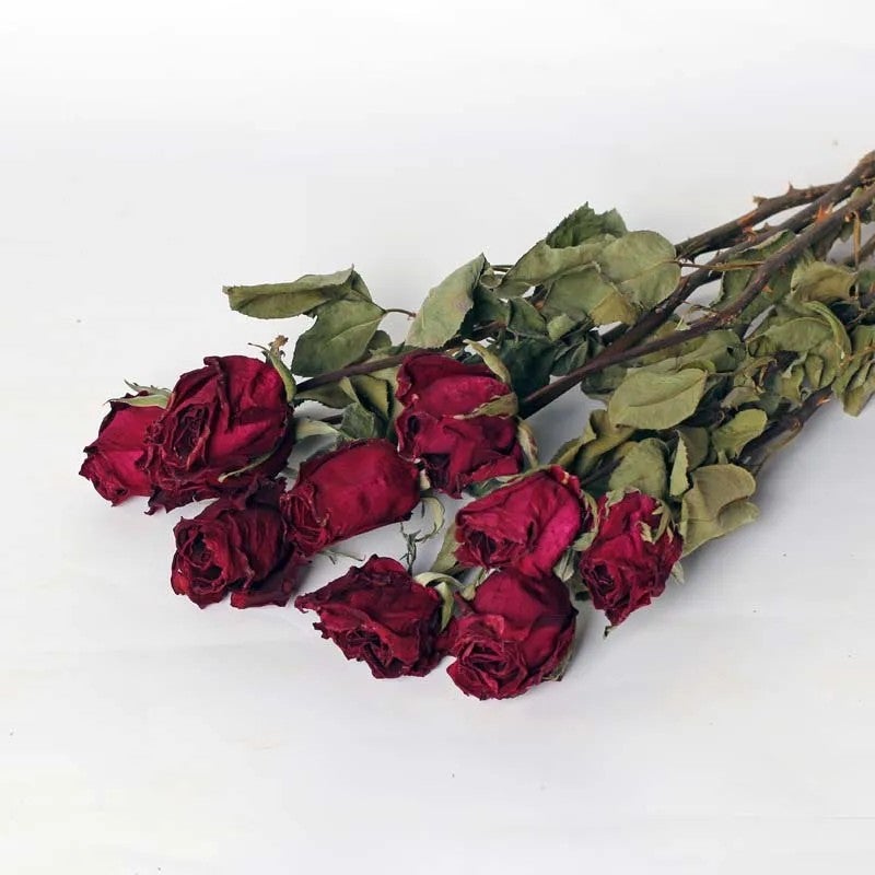 Bluejw Real Natural Dried Roses Bouquet Long Stem, Cheap Dried Plants Flower Arrangement for Home Decor - Image 1