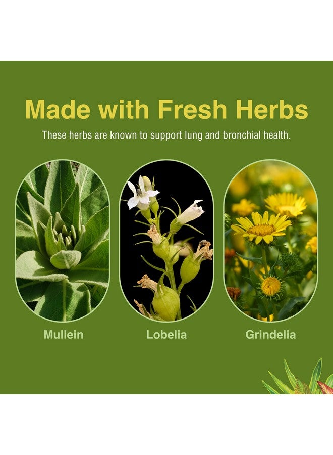 Herbs Etc. Lung Tonic - Lung Supplement for Bronchial Support - Healthy Breathing Support with Mullein, Horehound & Grindelia - 120 Softgels - 2 Pack - Image 5