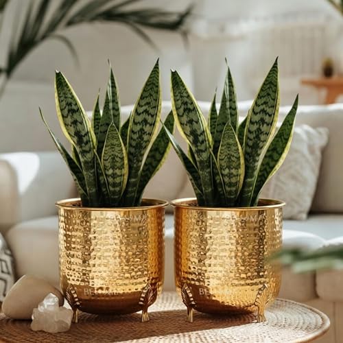 BEHOMA Hammered Gold Metal Planter for Home Decor | Decoratives for Indoor Outdoor Balcony Living Room | Size Height- 6" x Dia. 6" inch | Golden (Plant not Included) (Set of 2) - Image 1