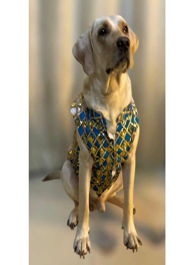 Lulala Ethnic Dog Kurta for Weddings & Festivals | Golden Sequin Embroidered Pet Jacket | Traditional Indian Festive Outfit for Dogs | Designer Kurta for Small to Large Breeds - Image 1