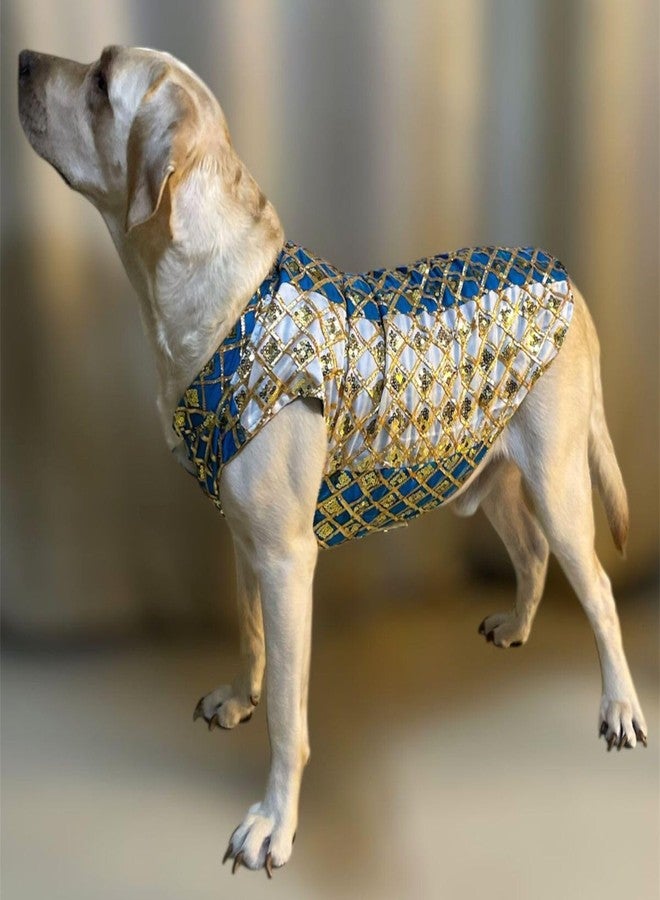 Lulala Ethnic Dog Kurta for Weddings & Festivals | Golden Sequin Embroidered Pet Jacket | Traditional Indian Festive Outfit for Dogs | Designer Kurta for Small to Large Breeds - Image 3