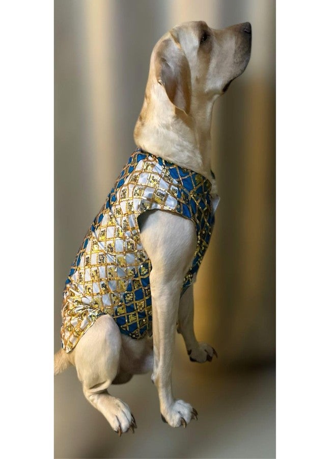 Lulala Ethnic Dog Kurta for Weddings & Festivals | Golden Sequin Embroidered Pet Jacket | Traditional Indian Festive Outfit for Dogs | Designer Kurta for Small to Large Breeds - Image 4