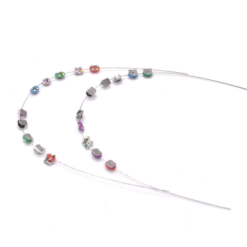 Angzhili 1 Pack Temporary Tooth Decoration with Metal WiresMetal Bracket and Orthodontic Ligature TiesPractice Props for Dental StudentsOrthodontist Explain Props Multicolored