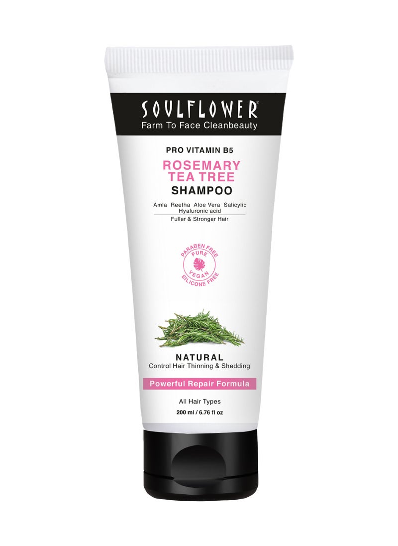 Soulflower Rosemary Shampoo For Hair Growth, Controls Hair Fall, Stronger, Shiny And Long Hair And Healthy Scalp With Tea Tree, Pro Vitamin B5 | Men And Women  - Image 1