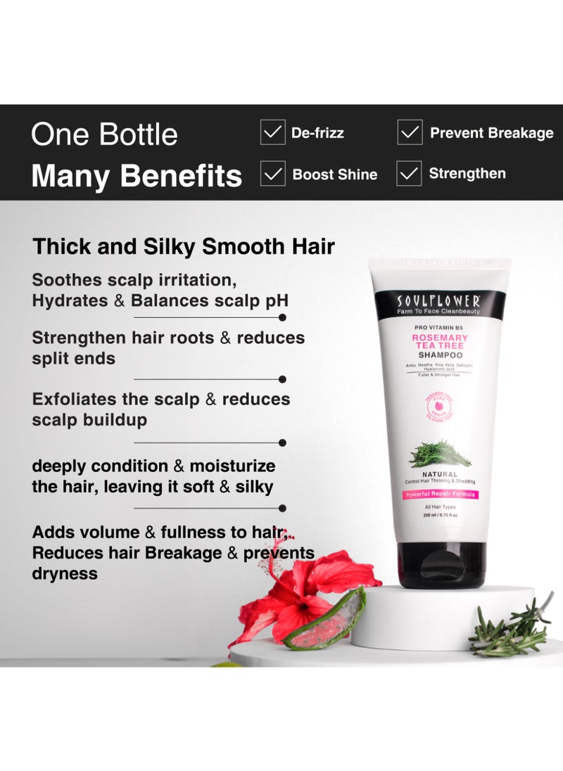 Soulflower Rosemary Shampoo For Hair Growth, Controls Hair Fall, Stronger, Shiny And Long Hair And Healthy Scalp With Tea Tree, Pro Vitamin B5 | Men And Women  - Image 3
