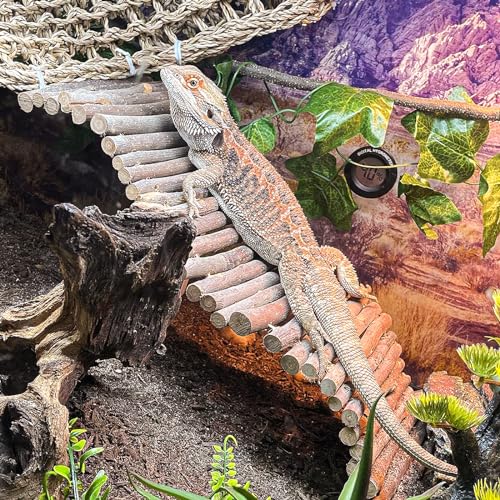 HERCOCCI Bearded Dragon Tank Accessories, Large Reptile Bridge Hammock Flexible - Jungle Climbing Vines and Leaves with Suction Cups Habitat Décor for Hiding& Climbing Snake Gecko Lizard Chameleon - Image 3