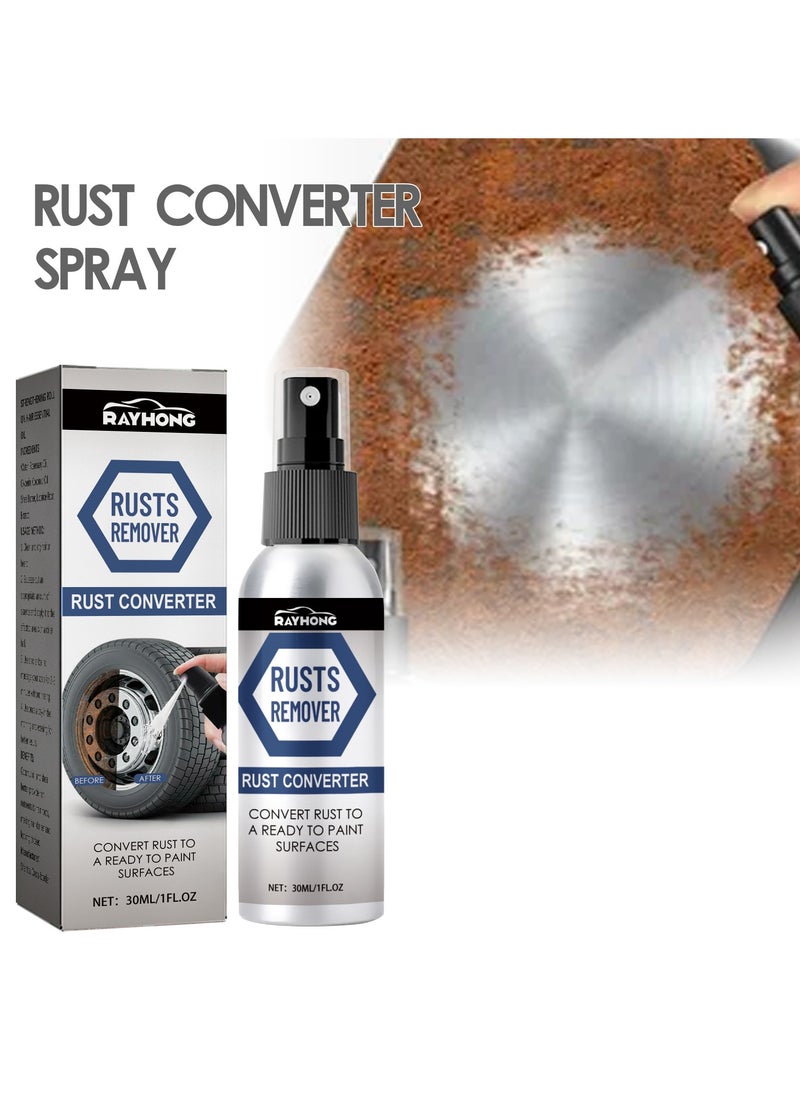 RAYHONG 30 Ml Rust Converter Spray For Car  - Image 2