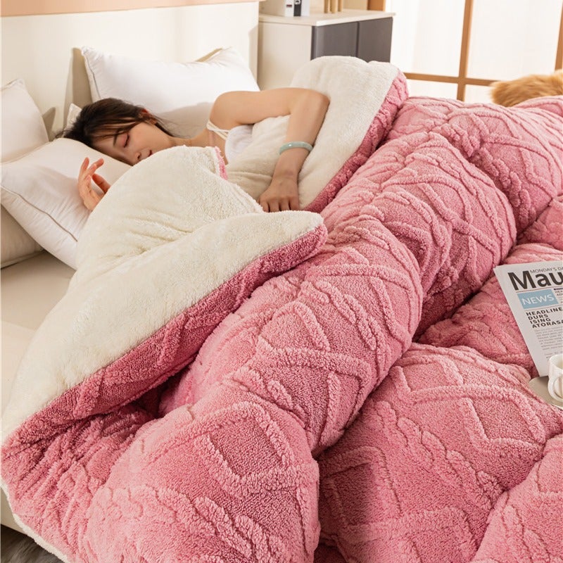 Winter Thickened Warm Tower Velvet Arctic Velvet Quilt Lambswool Double-Sided Velvet Winter Quilt For Student Dormitory - Image 4