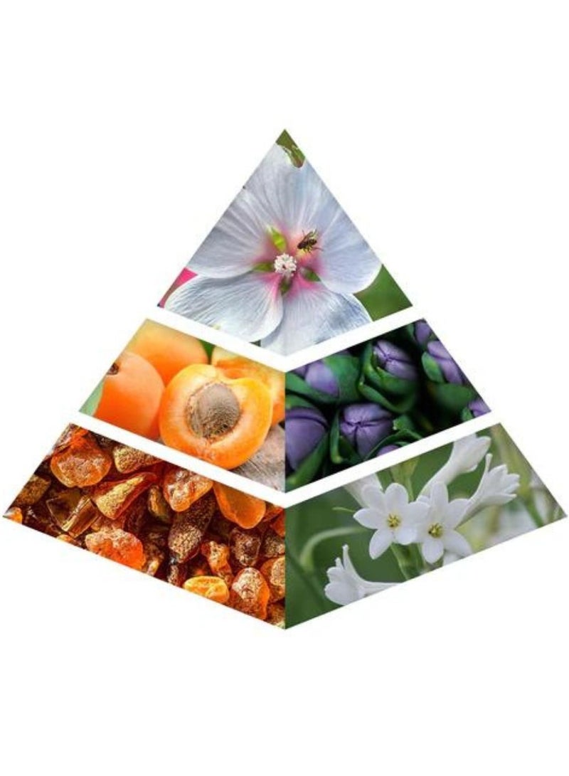 خدلج زيت عطري مركز خدلج رانيا 18 مل - Image 3