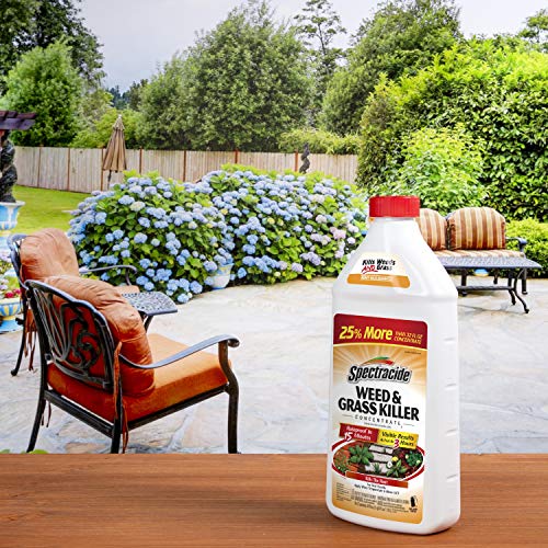 Spectracide Weed And Grass Killer Concentrate 40 Ounces, Use On Patios, Walkways And Driveways, 6 Pack - Image 5