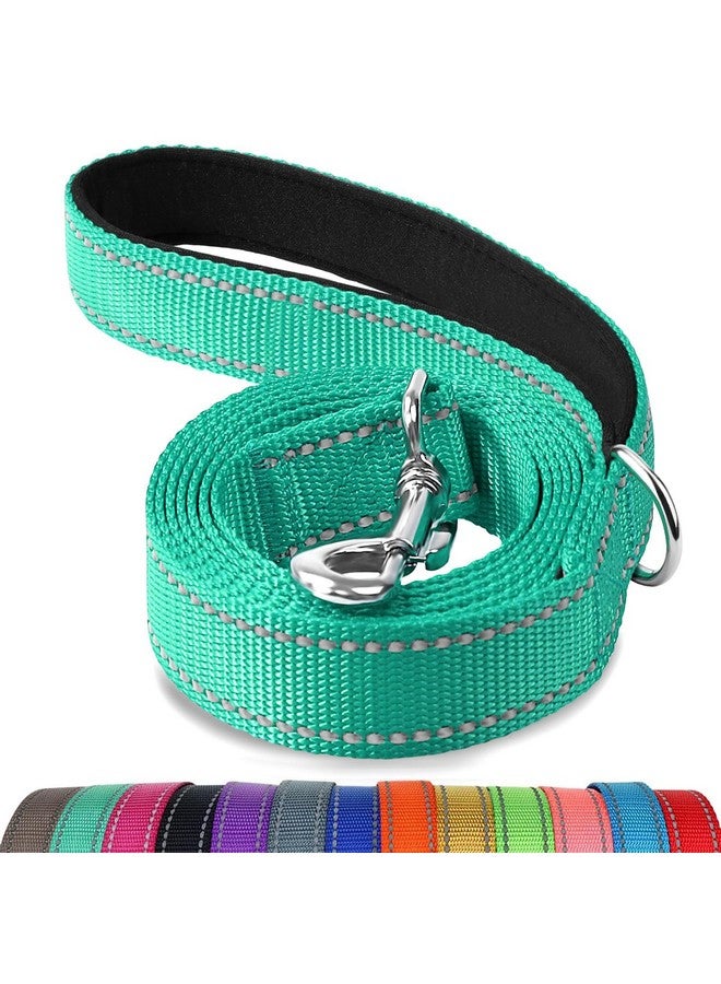 Joytale Double-Sided Reflective Dog Leash, 6 FT/5 FT/4 FT, Padded Handle Nylon Dogs Leashes for Small & Medium Dogs Walking, Teal, 6FT - Image 1