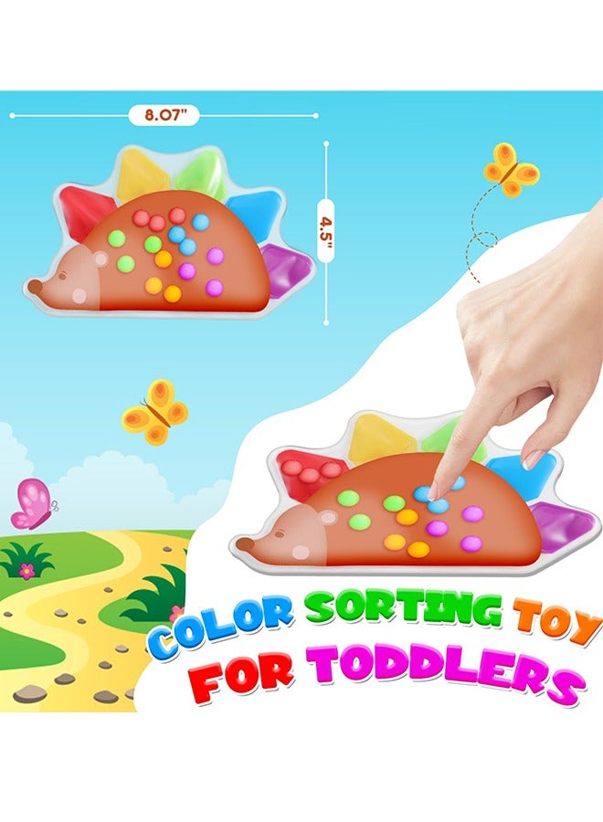 Color Sorting Toys Sensory Toys : Fine Motor Skill Games Learning Toys for Toddlers, Color Matching Preschool Activities Educational Calm Down Toys Montessori Toys for Kids Boys Girls Gifts Ages 3+ - Image 2