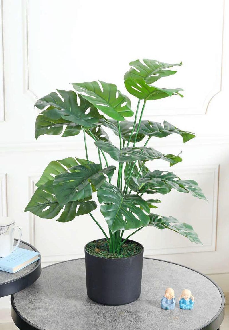 Fourwalls Beautiful Artificial Miniature PVC Silk Plant with Big Leaves and Without Pot (18 Leaves, 70 cm Tall, Multicolor) - Image 2