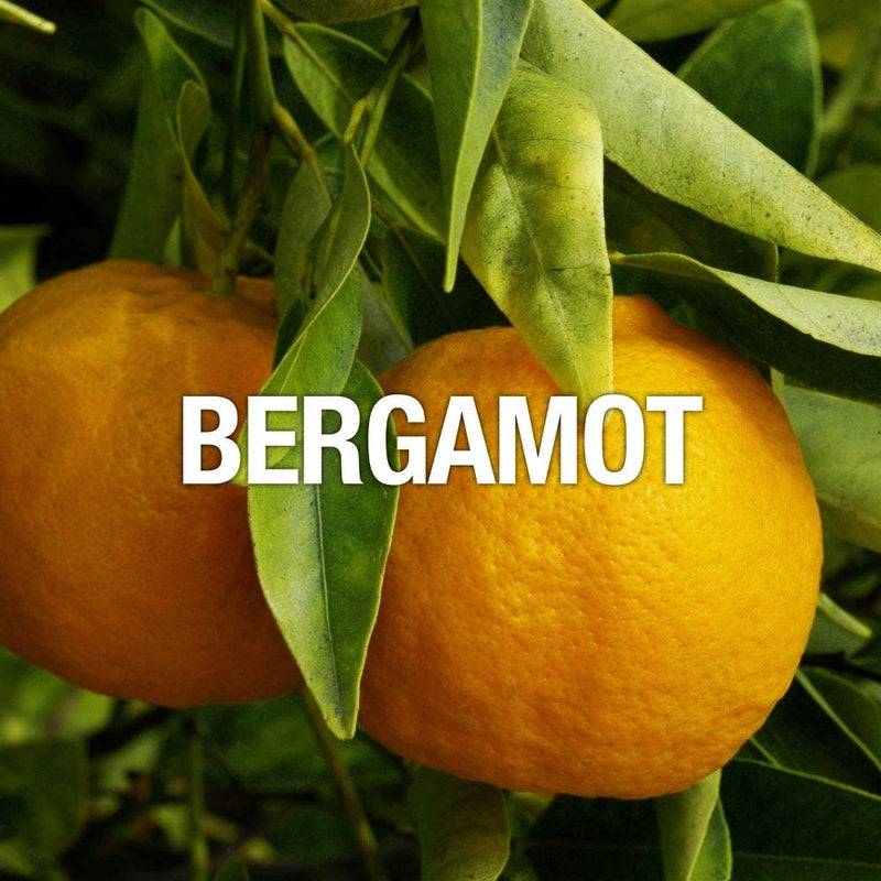 Curve Filled for Outdoor, Lawn, Garden, Round - Image 4