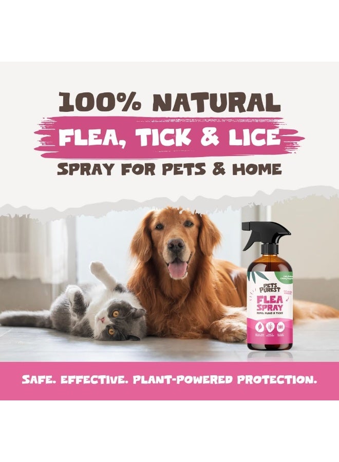 Pets Purest Flea Treatment for Dogs & Cats, 100% Natural Flea Spray for Dogs, Cats & Home. Safe & Effective Parasite Prevention Spray for Pets & Home 500ml - Image 2
