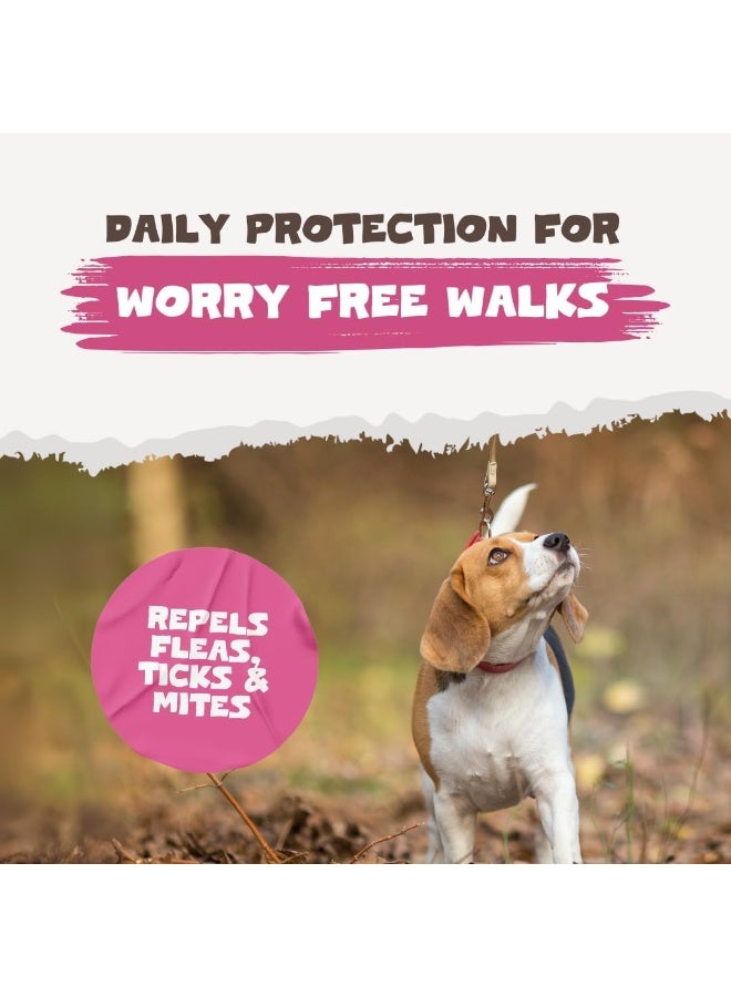 Pets Purest Flea Treatment for Dogs & Cats, 100% Natural Flea Spray for Dogs, Cats & Home. Safe & Effective Parasite Prevention Spray for Pets & Home 500ml - Image 5
