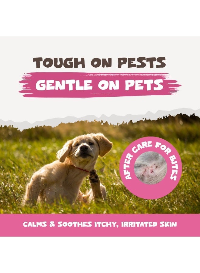Pets Purest Flea Treatment for Dogs & Cats, 100% Natural Flea Spray for Dogs, Cats & Home. Safe & Effective Parasite Prevention Spray for Pets & Home 500ml - Image 4