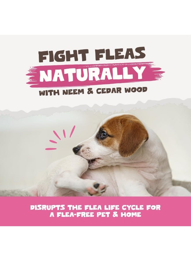 Pets Purest Flea Treatment for Dogs & Cats, 100% Natural Flea Spray for Dogs, Cats & Home. Safe & Effective Parasite Prevention Spray for Pets & Home 500ml - Image 3