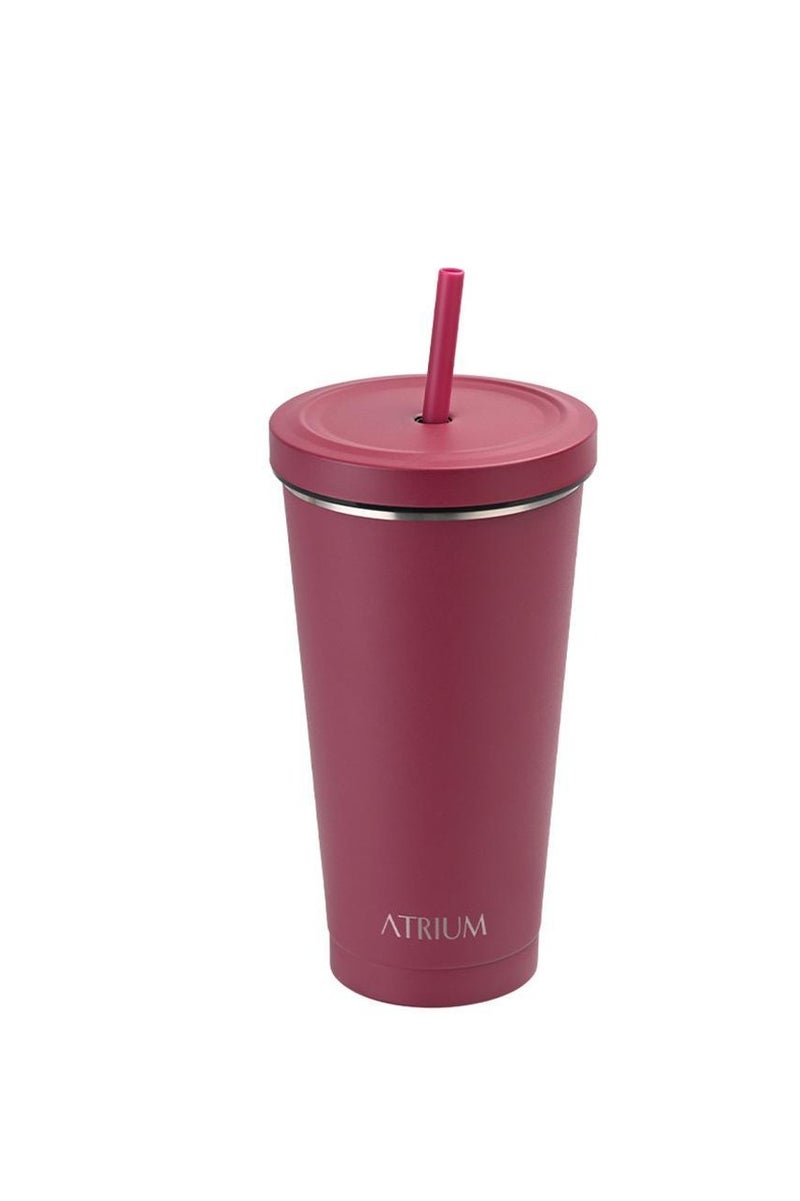 Tumbler Stainless Steel 304 Vacuum Tumbler Cold 650.00 ml